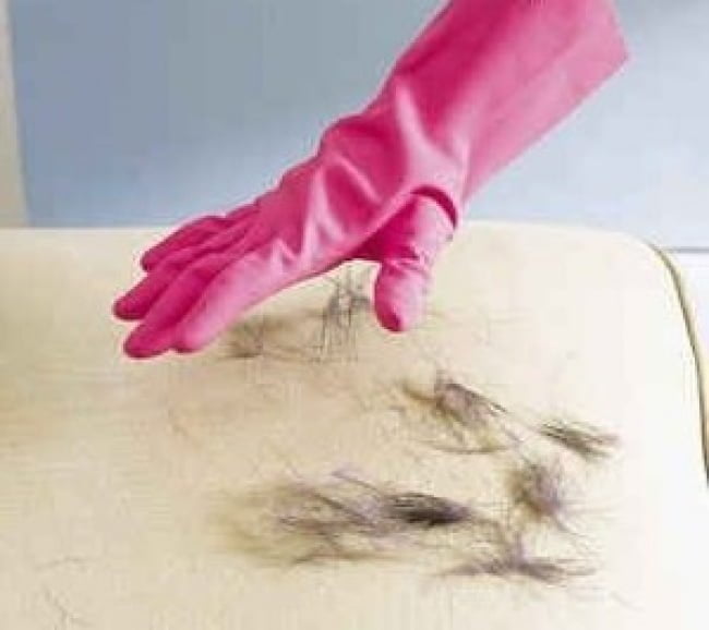 7-truques-que-os-donos-de-gatos-deveriam-conhecer6