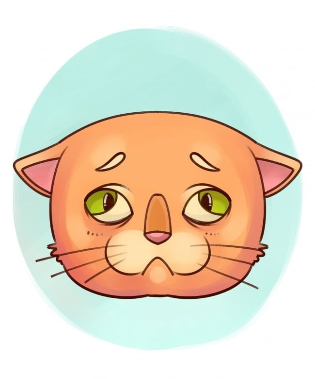 se-algum-destes-sintomas-aparecer-leve-seu-bichinho-imediatamente-ao-veterinario14