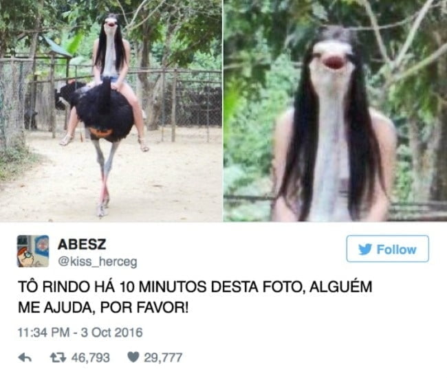 13-tweets-que-levantam-o-animo-de-qualquer-um3