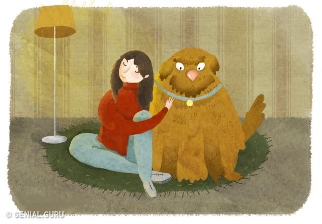 cinco-maneiras-de-dizer-ao-seu-cao-que-voce-o-ama3