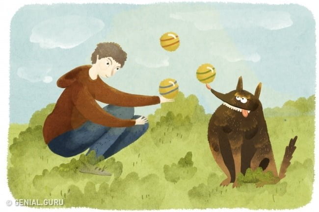 cinco-maneiras-de-dizer-ao-seu-cao-que-voce-o-ama5